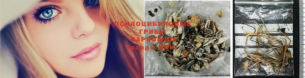 mix Богородицк