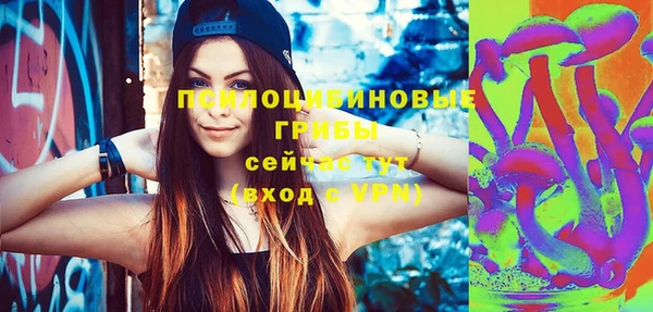 дмт Богданович