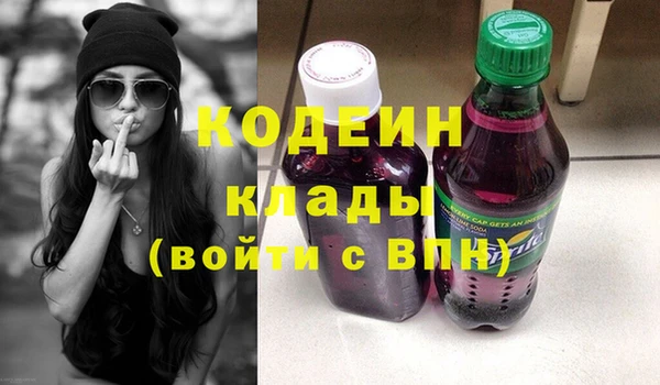 дмт Богданович