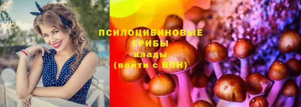 mix Богородицк
