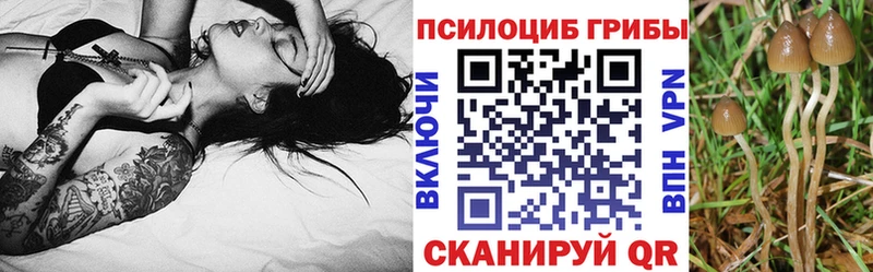 Галлюциногенные грибы GOLDEN TEACHER Белокуриха